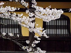 京都 Kyoto 2012 April