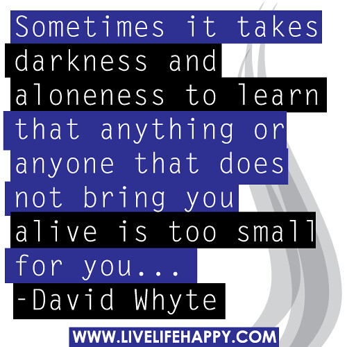 Sometimes it takes darkness and aloneness to learn that anything or anyone that does not bring you alive is too small for you. -David Whyte