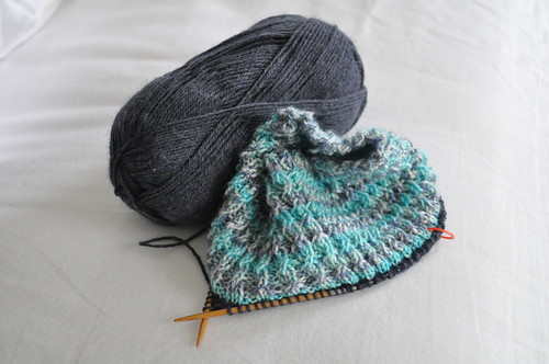 this week :: more knitting