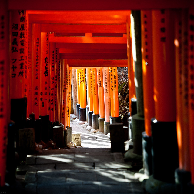 fushimi inari shrine kyoto torii