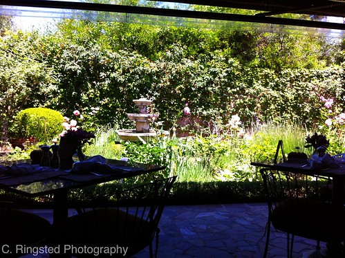 Life: Lunch @ Suzanne's Cuisine in Ojai by Sanctuary-Studio