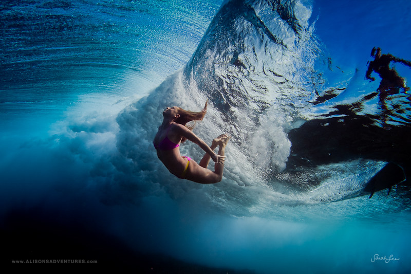 Picture of the Day: Underwater Perfection