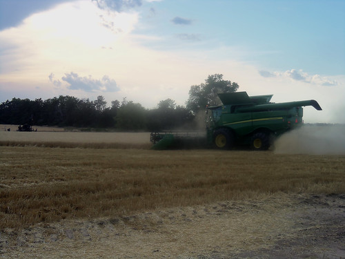 Testing wheat north of Pratt the dust lingered due to the lack of wind