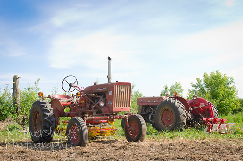 Roots and Shoots Farm visit - tractors
