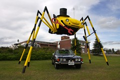 2012-6-17 Kenora big spider