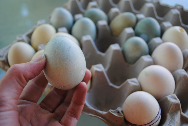 Easter eggs 2012