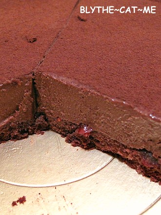阿默瑞士巧克力莓果蛋糕 (19)