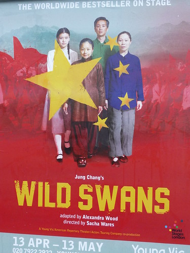 Wild Swans at the Young Vic, theatre poster