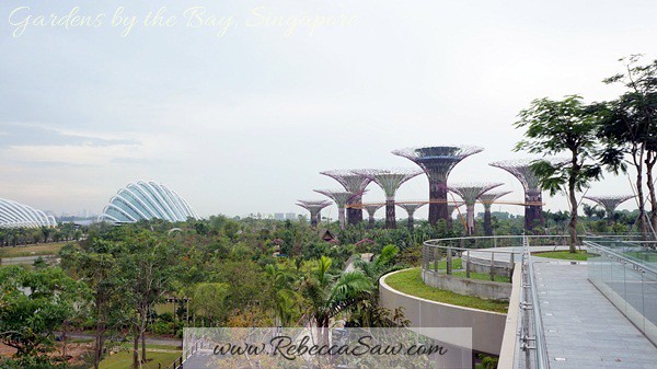gardens by the bay, singapore (18)