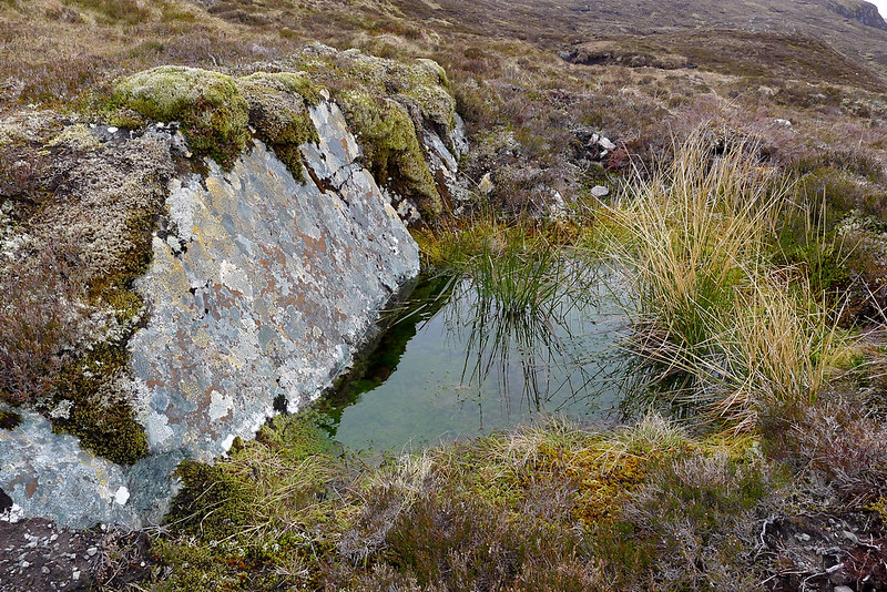 A still pool at the col