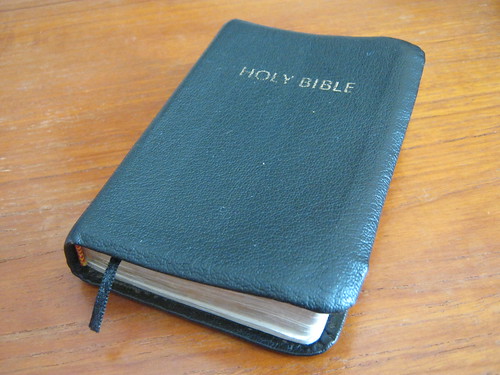 Bible by Mike Johnson