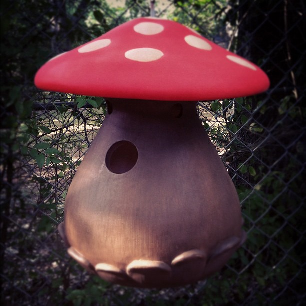 Mushroom bird house! I can't wait for someone to move in!