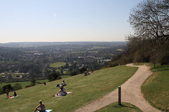 Box Hill: The Stepping Stones Walk 2012