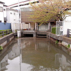 古隅田川