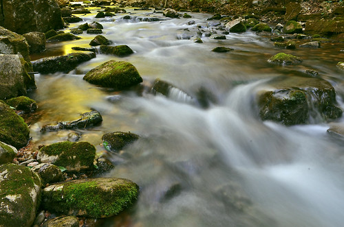 A Painted Stream by Jeka World Photography