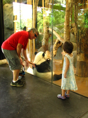 Memphis zoo pandas