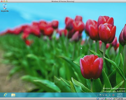 Windows 8 Release Preview on VirtualBox / Mac