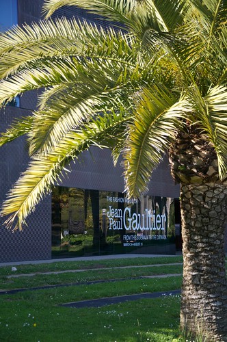The de Young museum, framed by a palm tree