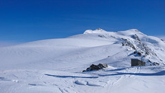 Monte Cevedale (3769m) ze schroniska G. Casati (3269m)