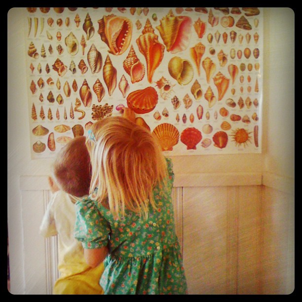 Happiness is a new poster and mama's shell collection to match up with it