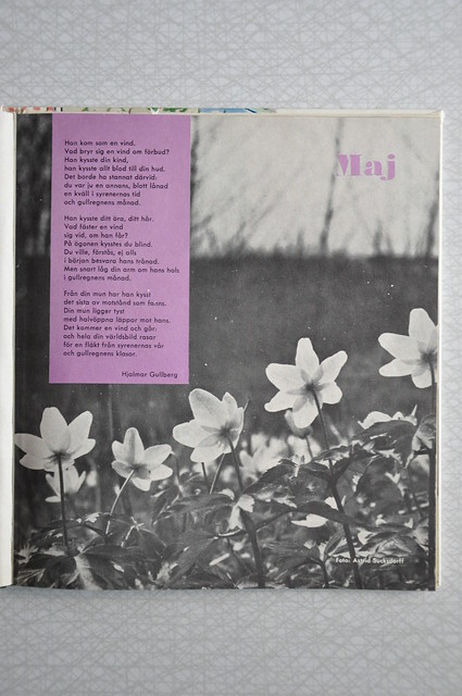 Evas kalender maj 1963