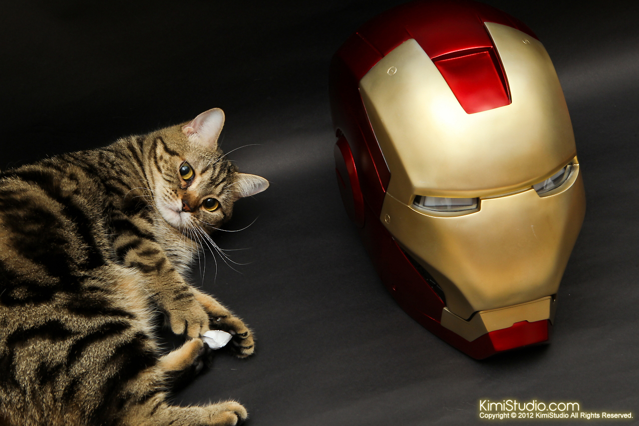 2012.05.10 Iron Man Helmet-004