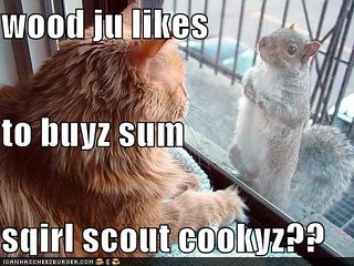 lol sqirl-scout-cookyz