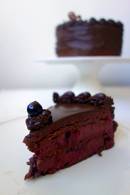 Chocolate and blackcurrant cake