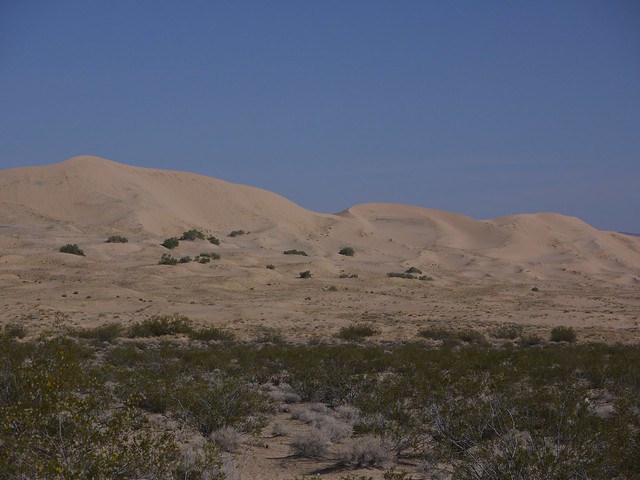 kelso dunes