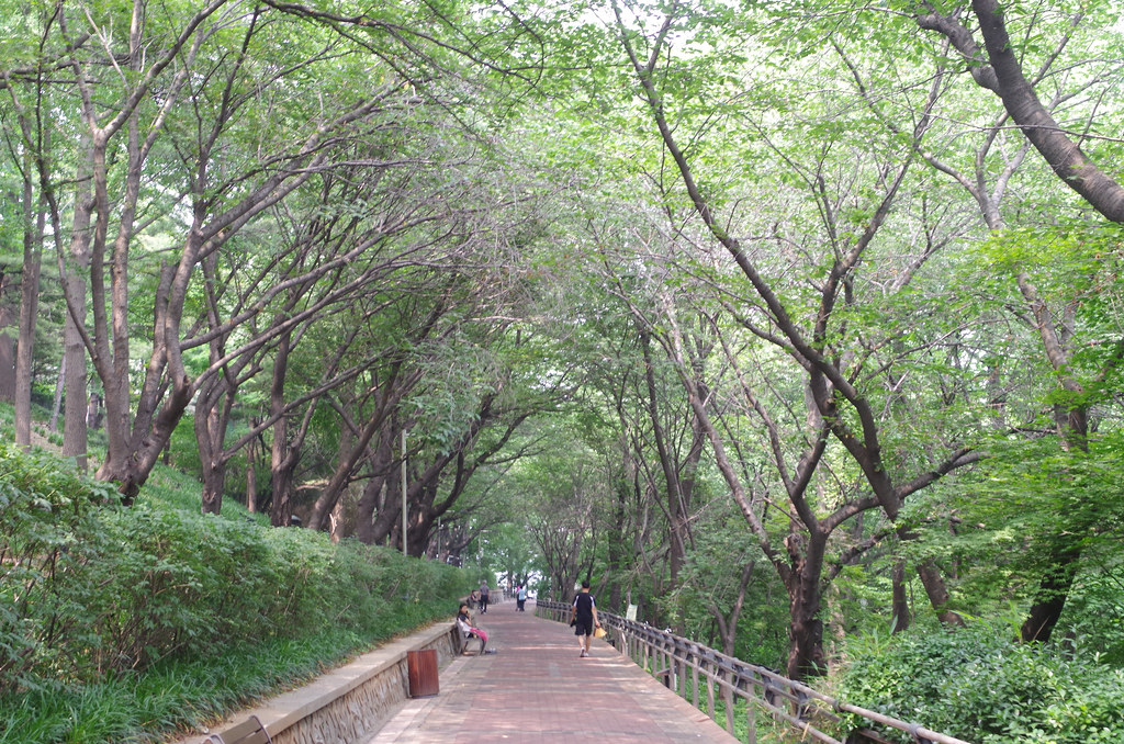 jayu park in incheon