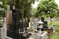 Aoyama Cemetery 2011