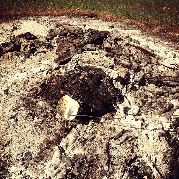 Roasting marshmallows #smores #hersheys #ilove #campbondfire #outandabout #photoadayjune