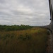 Travelling on the TaZaRa from Kapiri Mposhi, Zambia to Dar es Salaam, Tanzania - IMG_0302