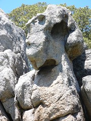 Face in the rock of the Quarry
