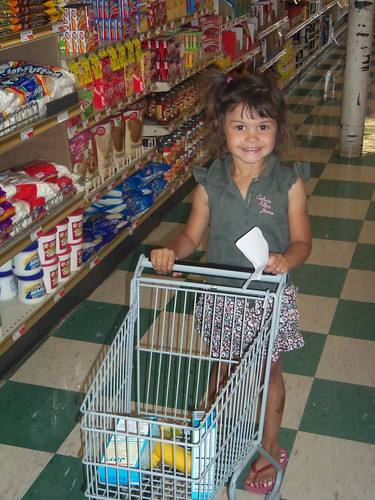 My little shopper enjoy her sized carts in Olney at her favorite Grocery Store Stewarts
