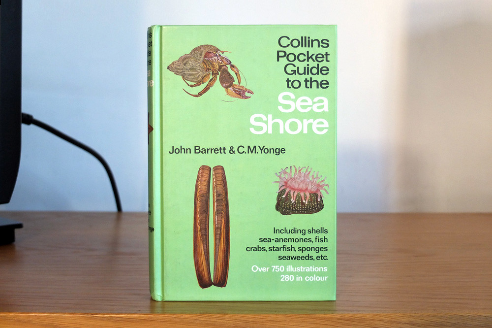 collins pocket guide to the sea shore
