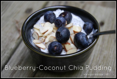 blueberry-coconut chia pudding