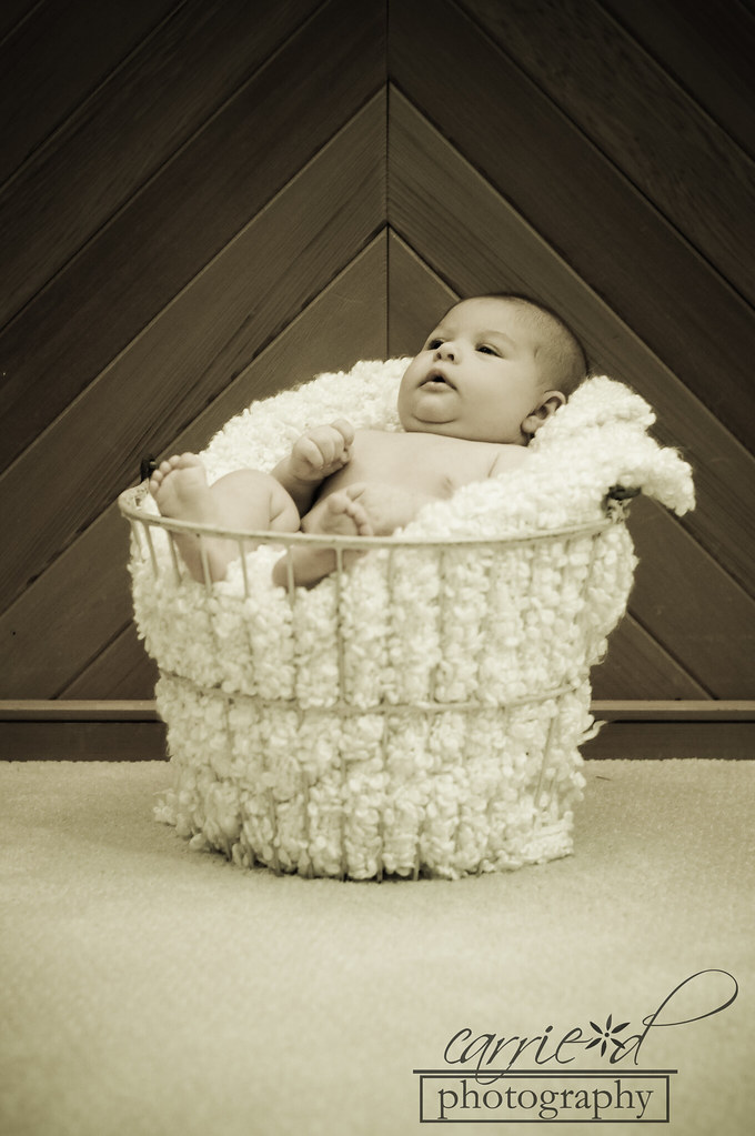 Towson Newborn Photographer - Towson Child Photographer - Towson Family Photographer - Alaina 6-3-2012 (30 of 240)BLOG