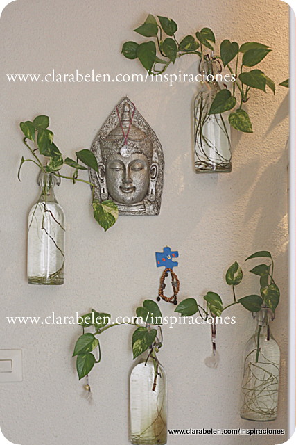 Manualidades e ideas para decoración: plantas en botellas de soda para la pared