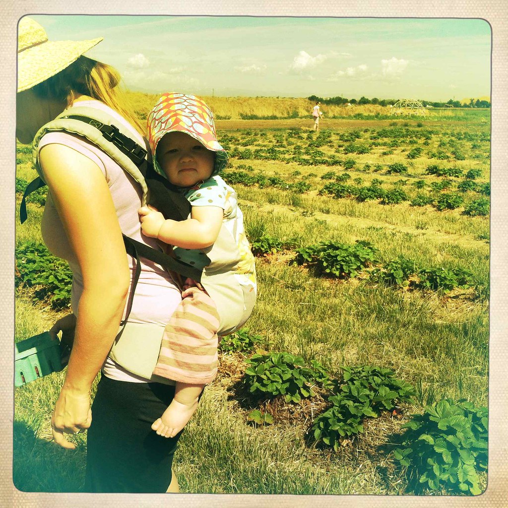 strawberry picking with a baby on my back