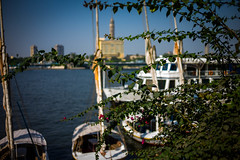 Egypt November 2011
