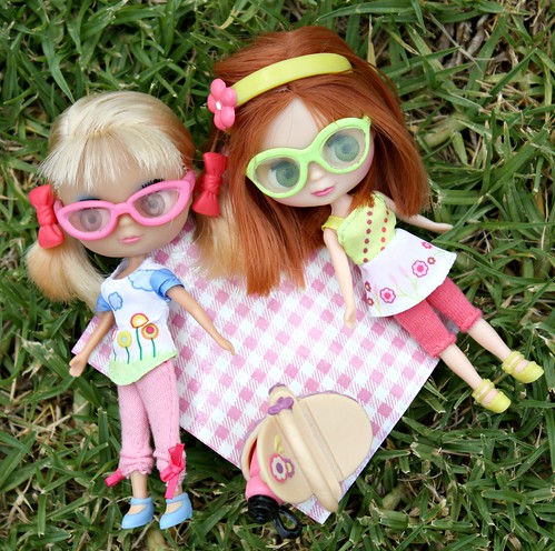 9/52 (12/52) - A Friendly Picnic by Among the Dolls