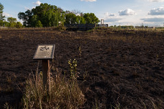 Burned Prairie_5811_5811.jpg by Mully410 * Images