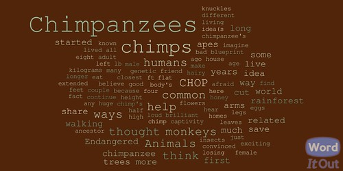 Chimp Essay Wordcloud