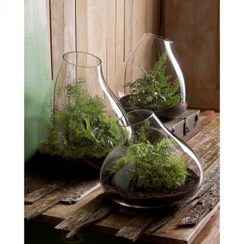 sq-mL-xl-Recycled-Glass-Bubble-Terrariums-by-roost-GL154-GL156-542x542