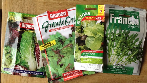 Lettuce seed packets