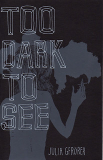 cover of Too Dark to See
