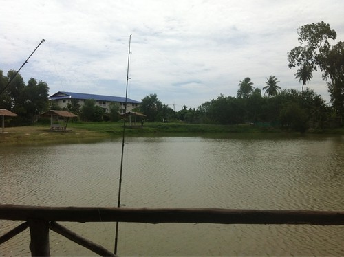 pattaya barra fishing park 7