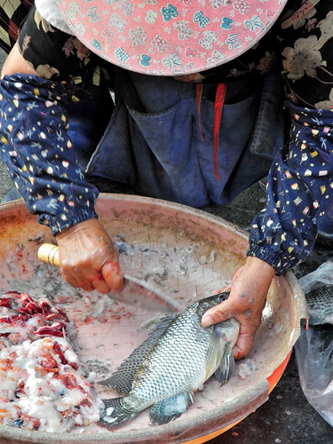 Cleaning Fish in Budai