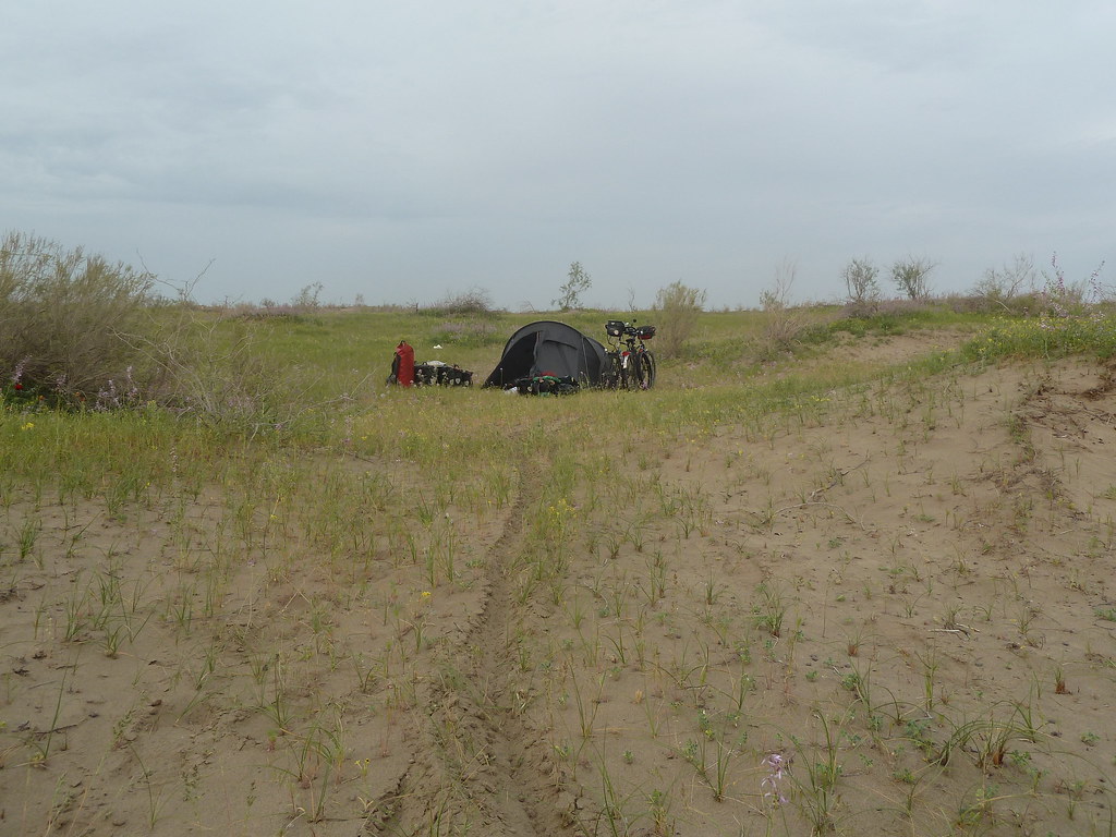 Campament prop d'Uchaji, Karakum (Turkmenistan)